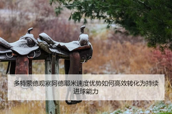 多特蒙德观察阿德耶米速度优势如何高效转化为持续进球能力