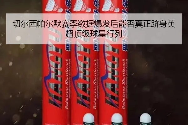 切尔西帕尔默赛季数据爆发后能否真正跻身英超顶级球星行列